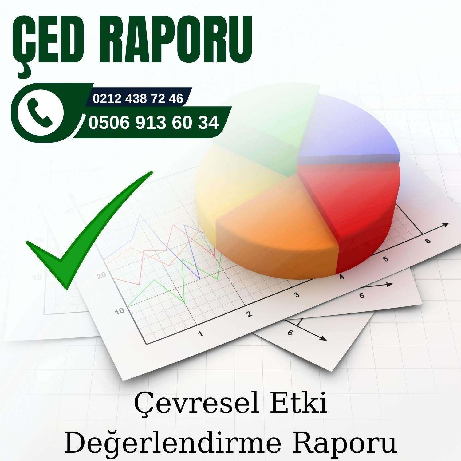 ÇED Raporunu Kim Alır?